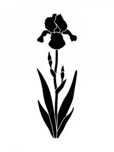 Iris Stencils 2