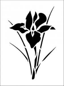 Iris Stencils 5