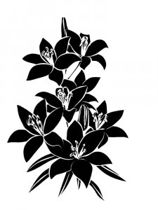 Lily Stencils 13