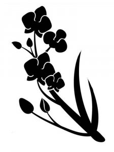 Orchid Stencils 13