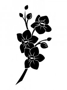 Orchid Stencils 2