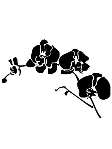Orchid Stencils 8