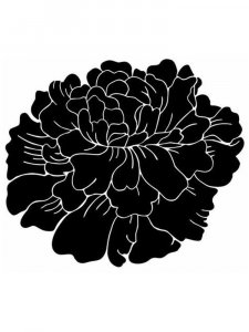 Peony Stencils 8