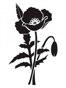 Poppy Stencils 2