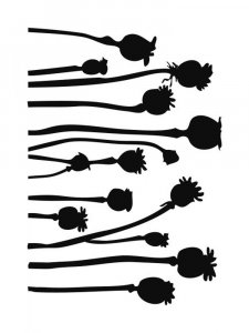 Poppy Stencils 5