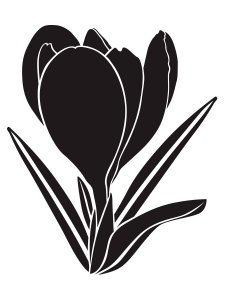 Snowdrop Stencils 12