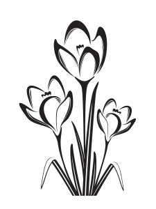 Snowdrop Stencils 15
