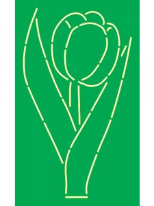 Tulip Stencils 4