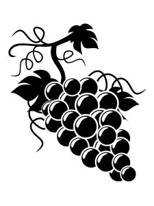 Berry Stencil 1