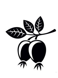 Berry Stencil 10