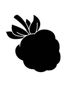 Berry Stencil 12