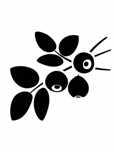 Berry Stencil 5