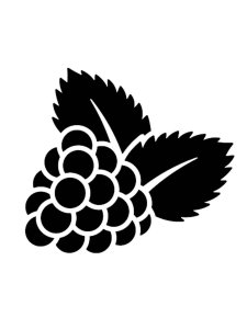 Berry Stencil 7