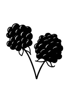 Blackberry Stencils 1