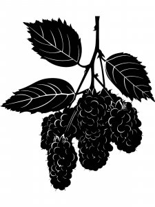 Blackberry Stencils 4