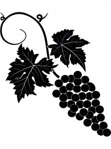 Grapes Stencils 11