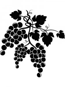 Grapes Stencils 14