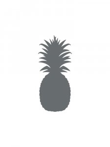 Pineapple Stencil 5