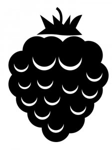 Raspberry Stencils 10