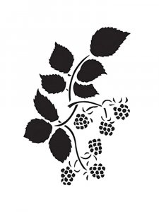 Raspberry Stencils 2