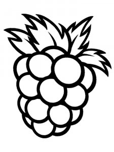 Raspberry Stencils 4
