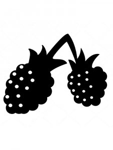 Raspberry Stencils 5
