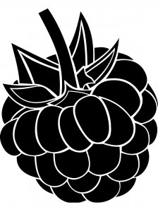 Raspberry Stencils 6