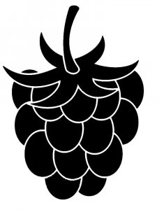Raspberry Stencils 7