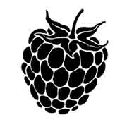 Blackberry stencils