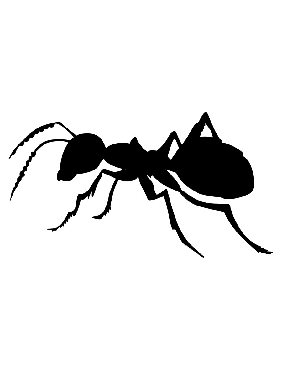 Ant Template Printable