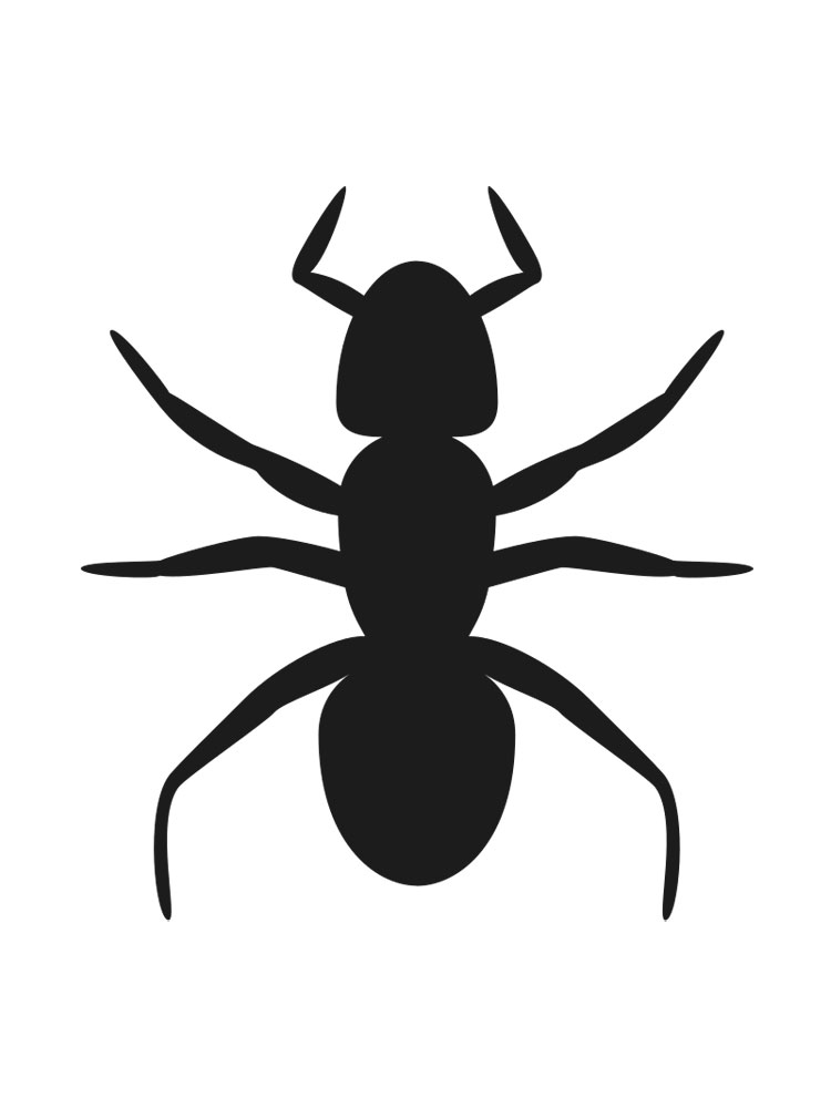 free-printable-ant-stencils-and-templates