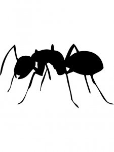 Ant Stencils 18
