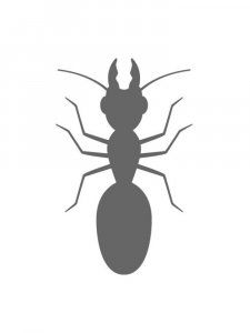 Ant Stencils 7
