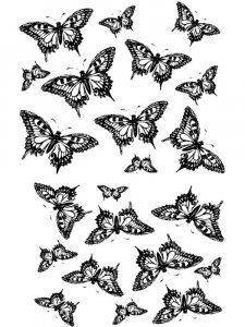 Butterfly Stencils 29