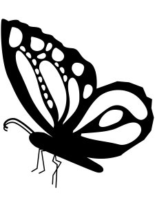 Butterfly Stencils 41