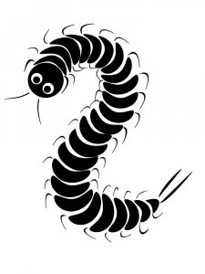 Caterpillar Stencils 9