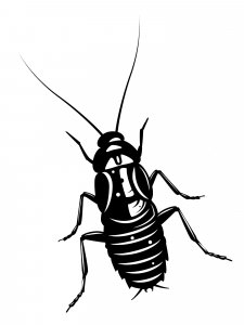 Cockroach Stencil 14