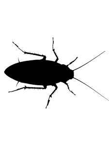 Cockroach Stencil 2