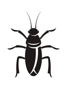 Cockroach Stencil 4