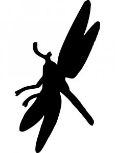 Dragonfly Stencils 5