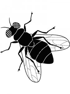 Fly Stencils 7
