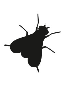 Fly Stencils 8