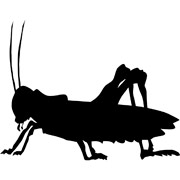 Grasshopper stencils