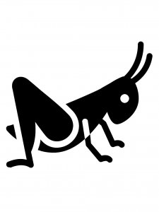 Grasshopper Stencil 11