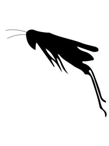 Grasshopper Stencil 12