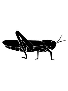 Grasshopper Stencil 13