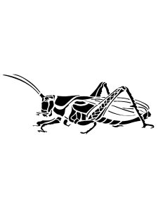 Grasshopper Stencil 2