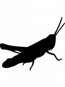 Grasshopper Stencil 3