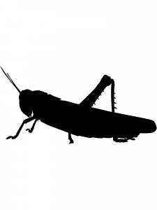 Grasshopper Stencil 4
