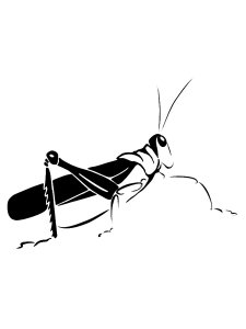 Grasshopper Stencil 6